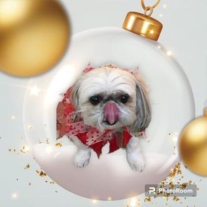 Meet your Posher, Pat